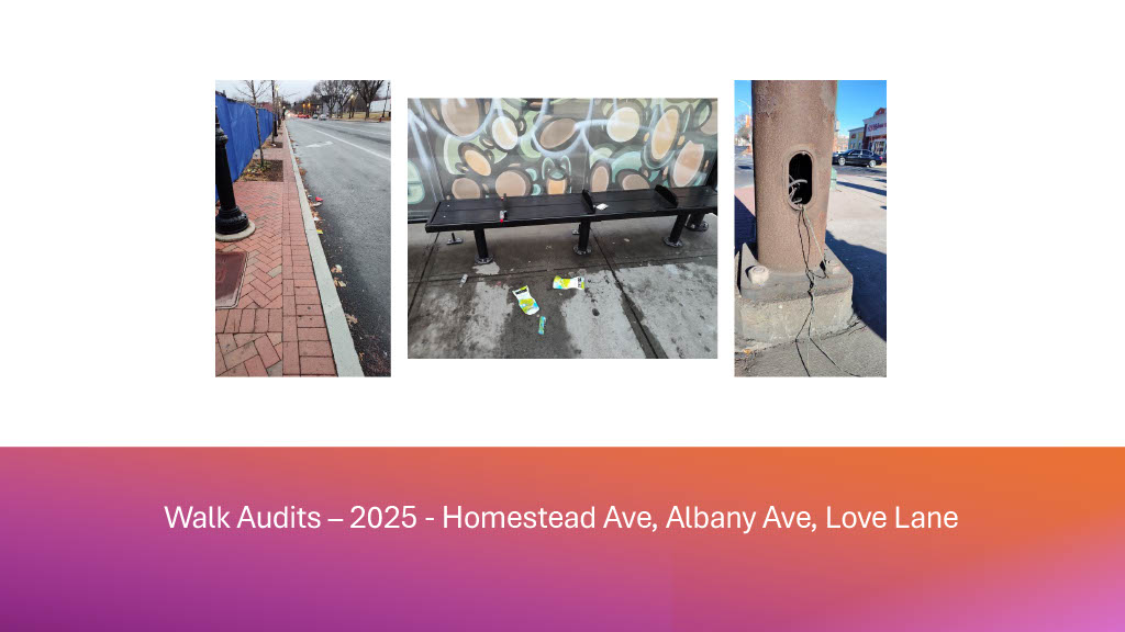 A2L 2025 - Walk Audits – 2025 - Homestead Ave, Albany Ave, Love Lane